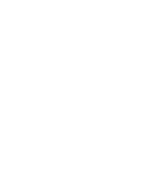 Preda Respeky Gym Logo